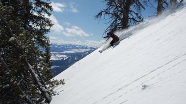 Skier carves turns on a mountain slope