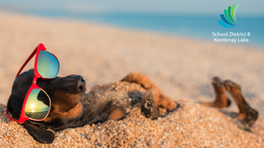 Time to relax Dachschund in sunglasses lying on its back on a beach