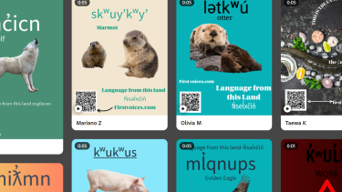 Nselxcin Gallery Snapshot