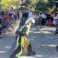 Close up of chicken dancers